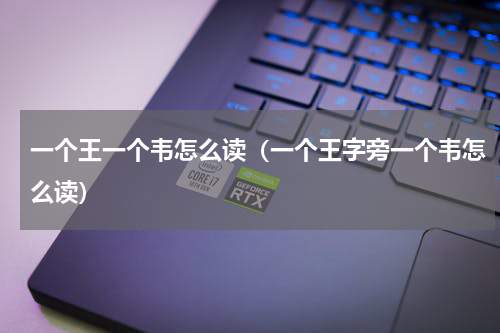 一个王一个韦怎么读（一个王字旁一个韦怎么读）