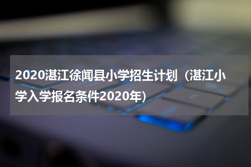 2020湛江徐闻县小学招生计划（湛江小学入学报名条件2020年）