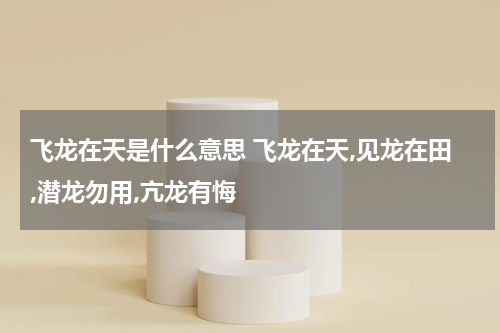 飞龙在天是什么意思 飞龙在天,见龙在田,潜龙勿用,亢龙有悔