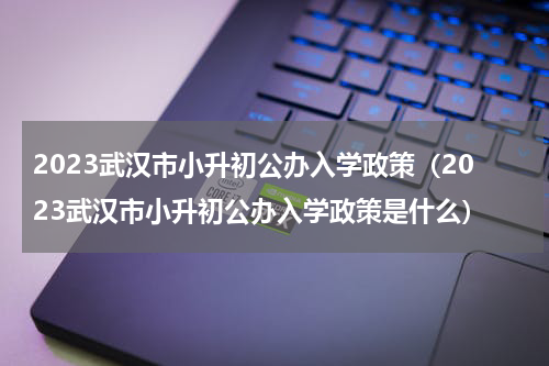 2023武汉市小升初公办入学政策（2023武汉市小升初公办入学政策是什么）