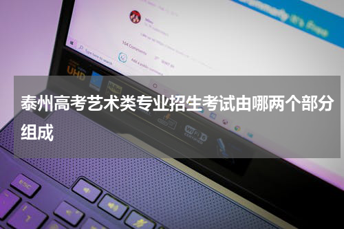 泰州高考艺术类专业招生考试由哪两个部分组成