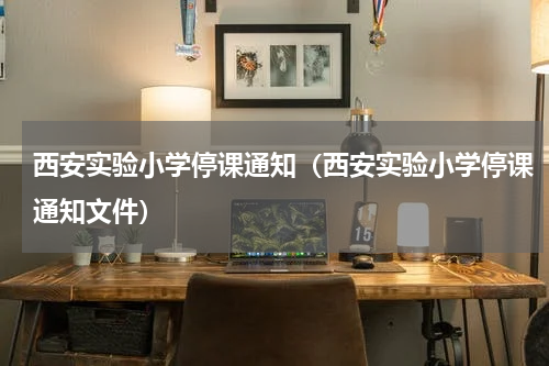 西安实验小学停课通知（西安实验小学停课通知文件）