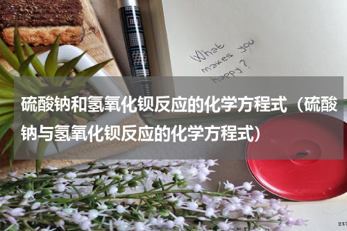 硫酸钠和氢氧化钡反应的化学方程式（硫酸钠与氢氧化钡反应的化学方程式）