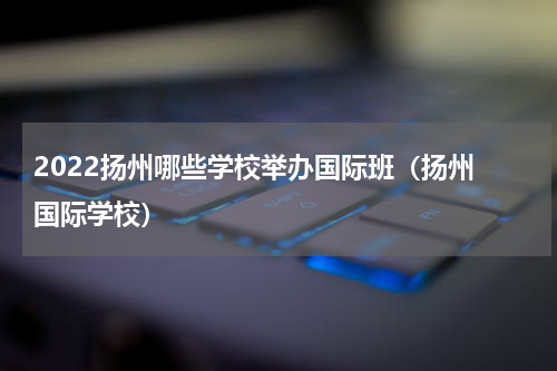 2022扬州哪些学校举办国际班（扬州 国际学校）