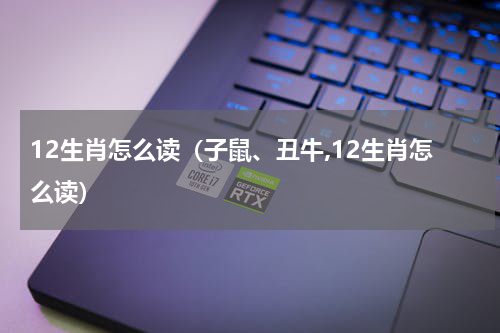 12生肖怎么读（子鼠、丑牛,12生肖怎么读）