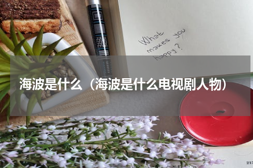 海波是什么（海波是什么电视剧人物）