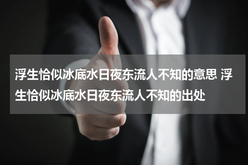 浮生恰似冰底水日夜东流人不知的意思 浮生恰似冰底水日夜东流人不知的出处