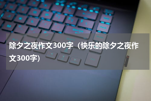 除夕之夜作文300字（快乐的除夕之夜作文300字）