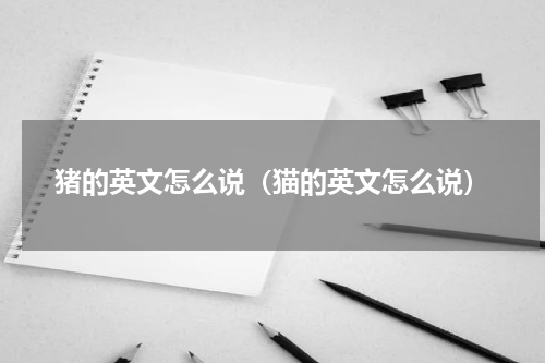 猪的英文怎么说（猫的英文怎么说）