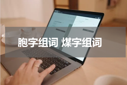 胞字组词 煤字组词