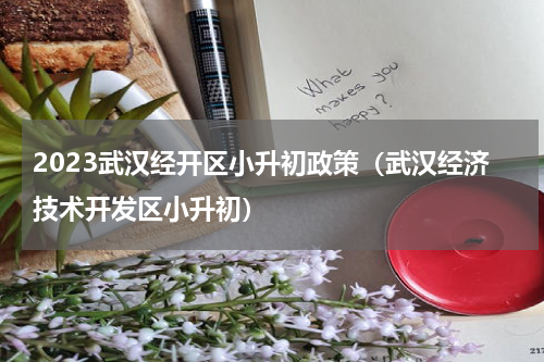 2023武汉经开区小升初政策（武汉经济技术开发区小升初）