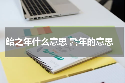 鲐之年什么意思 髫年的意思