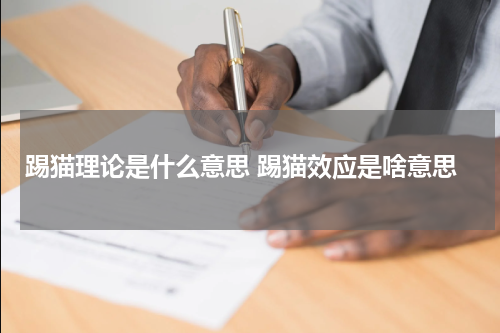 踢猫理论是什么意思 踢猫效应是啥意思