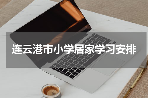 连云港市小学居家学习安排