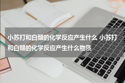 小苏打和白醋的化学反应产生什么 小苏打和白醋的化学反应产生什么物质