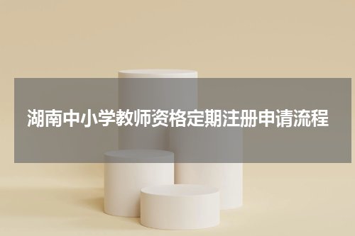 湖南中小学教师资格定期注册申请流程
