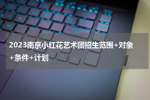 2023南京小红花艺术团招生范围+对象+条件+计划