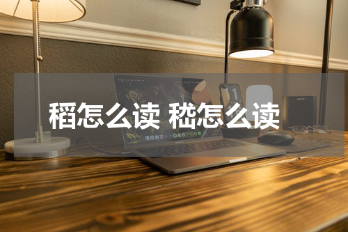 稻怎么读 嵇怎么读