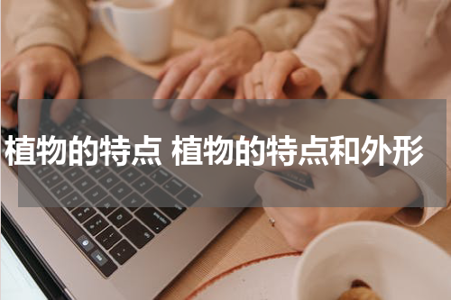 植物的特点 植物的特点和外形