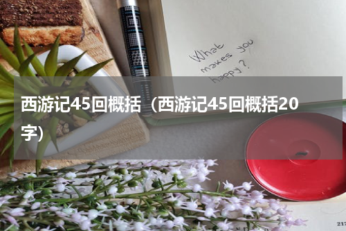 西游记45回概括（西游记45回概括20字）