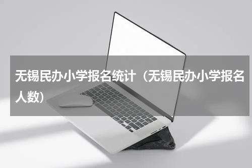 无锡民办小学报名统计（无锡民办小学报名人数）