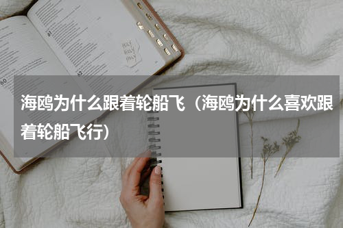 海鸥为什么跟着轮船飞（海鸥为什么喜欢跟着轮船飞行）