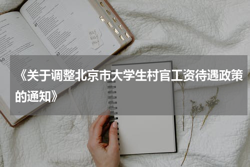 《关于调整北京市大学生村官工资待遇政策的通知》