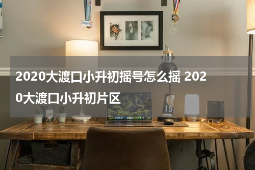 2020大渡口小升初摇号怎么摇 2020大渡口小升初片区
