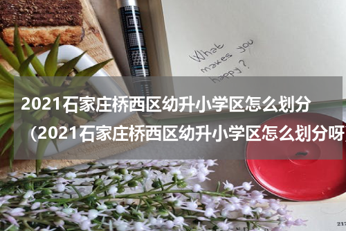2021石家庄桥西区幼升小学区怎么划分（2021石家庄桥西区幼升小学区怎么划分呀）