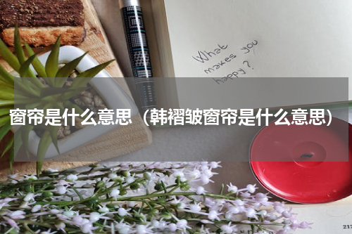 窗帘是什么意思（韩褶皱窗帘是什么意思）