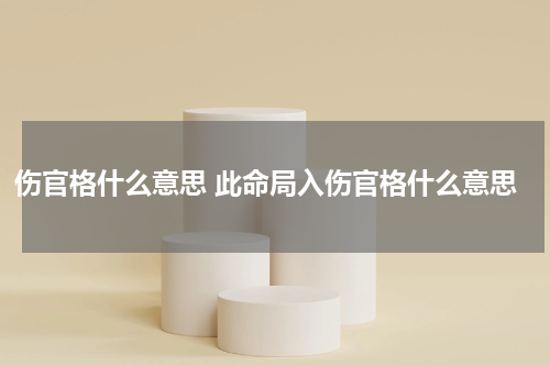 伤官格什么意思 此命局入伤官格什么意思