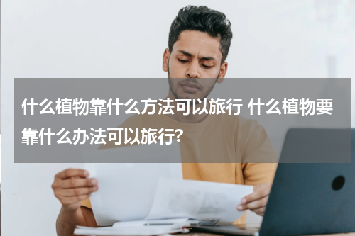 什么植物靠什么方法可以旅行 什么植物要靠什么办法可以旅行?