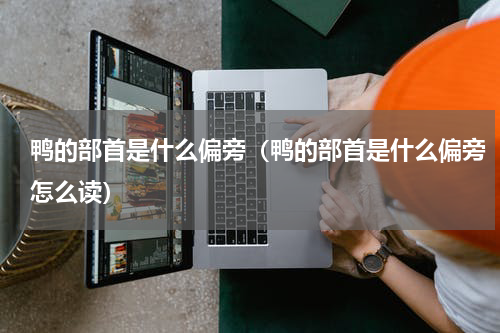 鸭的部首是什么偏旁（鸭的部首是什么偏旁怎么读）