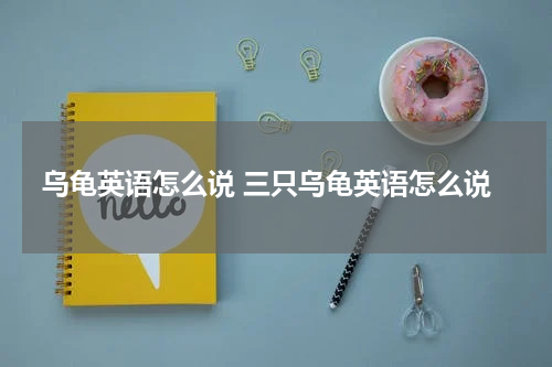 乌龟英语怎么说 三只乌龟英语怎么说