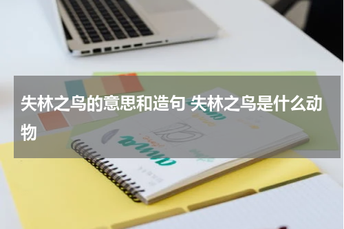 失林之鸟的意思和造句 失林之鸟是什么动物