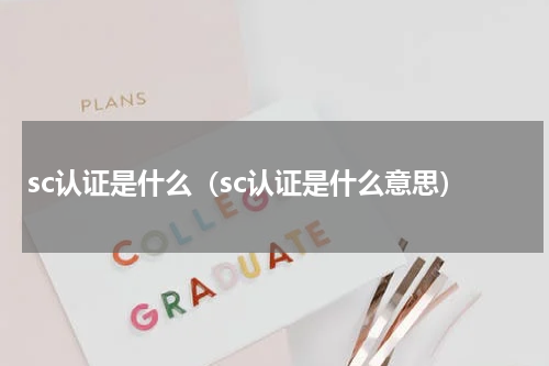 sc认证是什么（sc认证是什么意思）