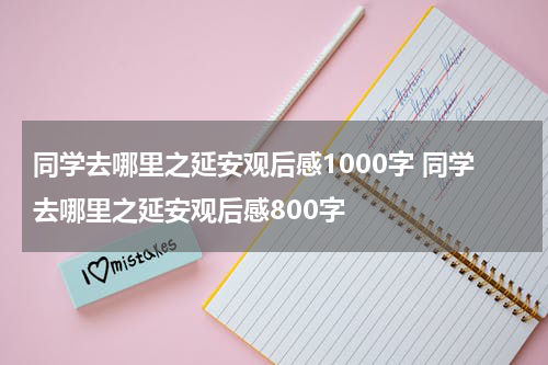 同学去哪里之延安观后感1000字 同学去哪里之延安观后感800字