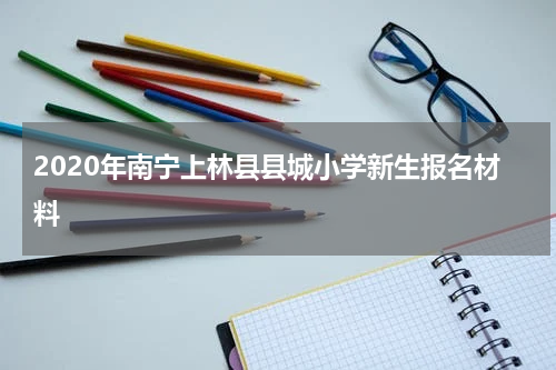 2020年南宁上林县县城小学新生报名材料