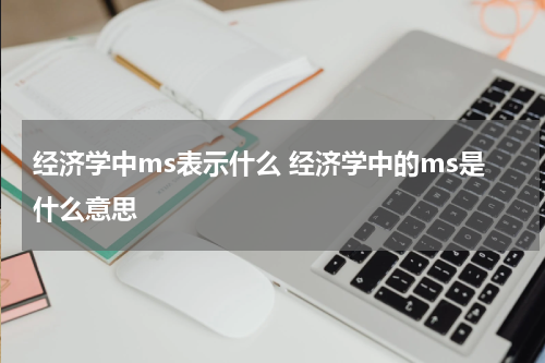 经济学中ms表示什么 经济学中的ms是什么意思