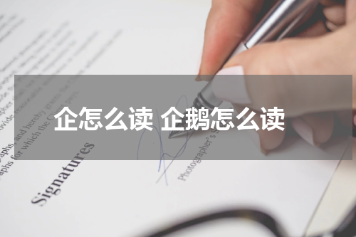 企怎么读 企鹅怎么读