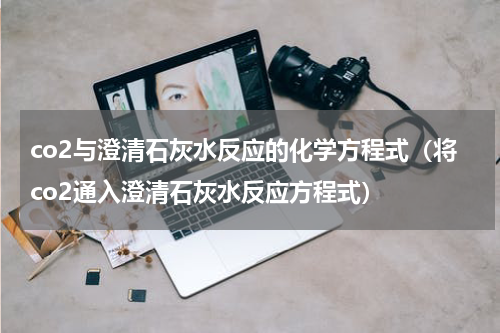 co2与澄清石灰水反应的化学方程式（将co2通入澄清石灰水反应方程式）