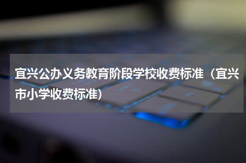 宜兴公办义务教育阶段学校收费标准（宜兴市小学收费标准）