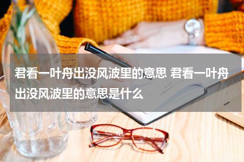 君看一叶舟出没风波里的意思 君看一叶舟出没风波里的意思是什么