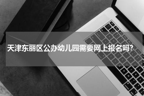 天津东丽区公办幼儿园需要网上报名吗？