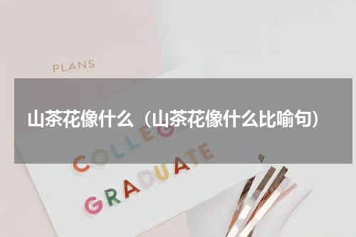 山茶花像什么（山茶花像什么比喻句）