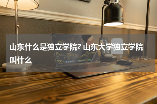 山东什么是独立学院? 山东大学独立学院叫什么