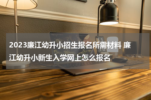 2023廉江幼升小招生报名所需材料 廉江幼升小新生入学网上怎么报名