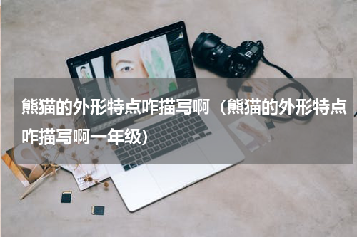 熊猫的外形特点咋描写啊（熊猫的外形特点咋描写啊一年级）