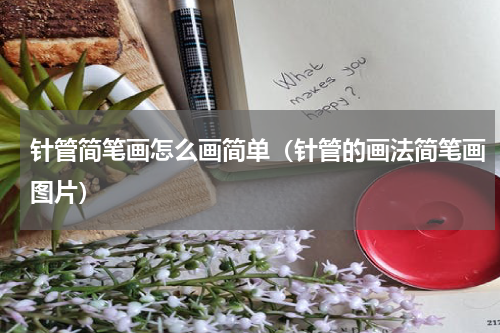 针管简笔画怎么画简单（针管的画法简笔画图片）