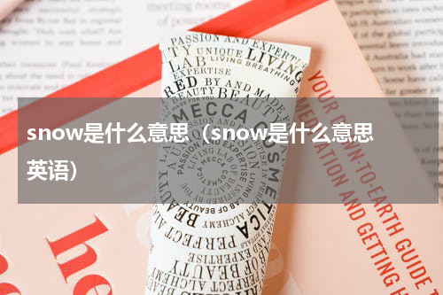 snow是什么意思（snow是什么意思英语）